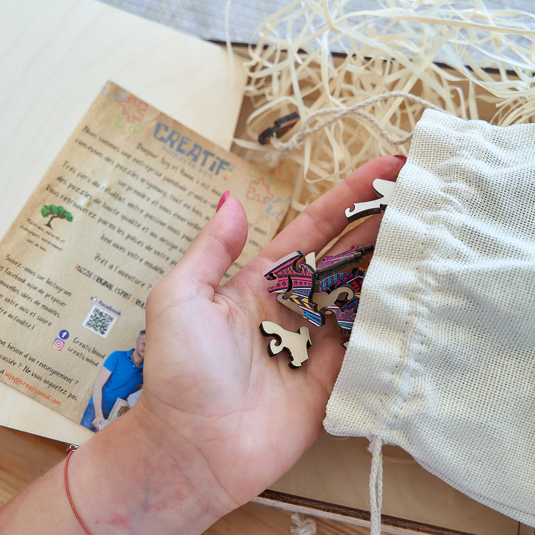 The Invisible Octopus Wooden Puzzle