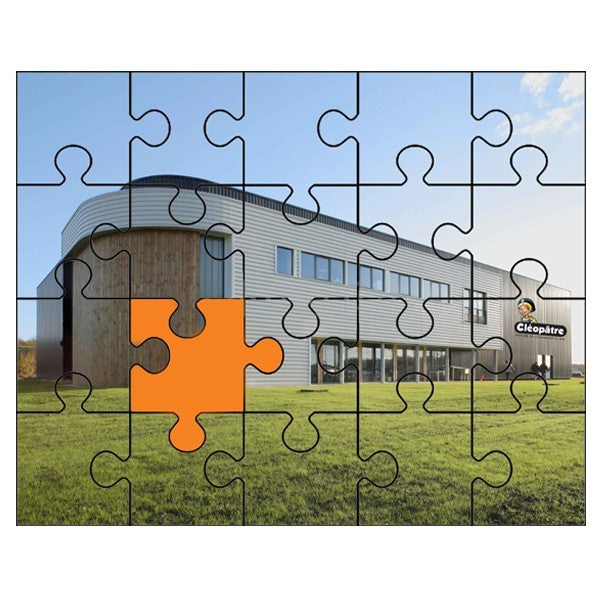 Cléo'Puzzle Glue varnish puzzle in 100 gr